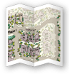 Illustration of the Waterford at Grapetree Community site plan